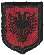 Division Skanderbeg.png