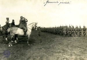 Eiserner Division 09 1919.jpg