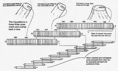 Dendrochronology.jpg