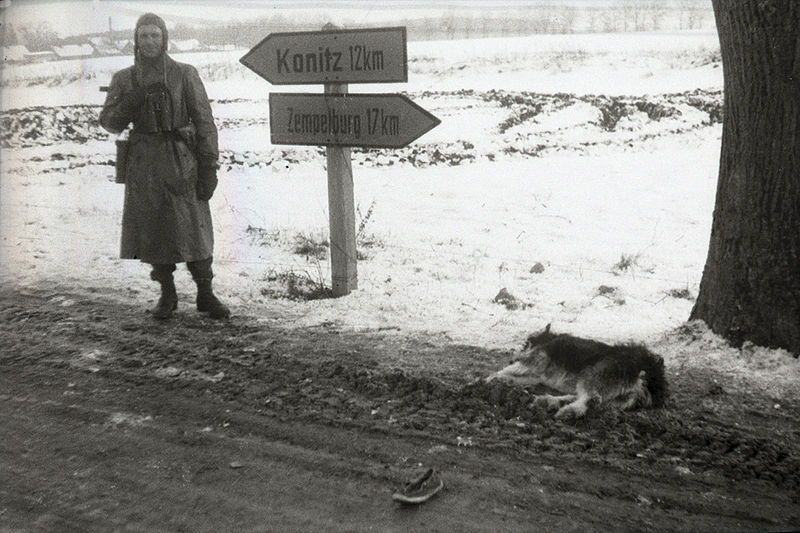 Attēls:15 diviz legionari Pomeranija 02 1945 a.jpg