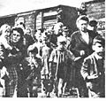 Sudet Germans deportation 2.jpg